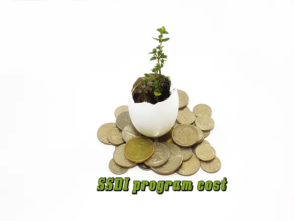 SSDI program cost