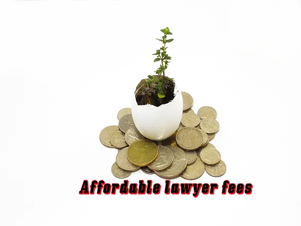 Affordable lawyer fees