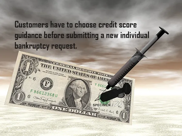 Customers have to choose credit score guidance before submitting a new individual bankruptcy request.